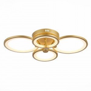 Потолочная люстра Evoluce Intensity SLE900022-04