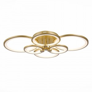 Потолочная люстра Evoluce Intensity SLE900022-06