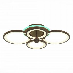 Потолочная люстра Evoluce Intensity SLE900072-04RGB