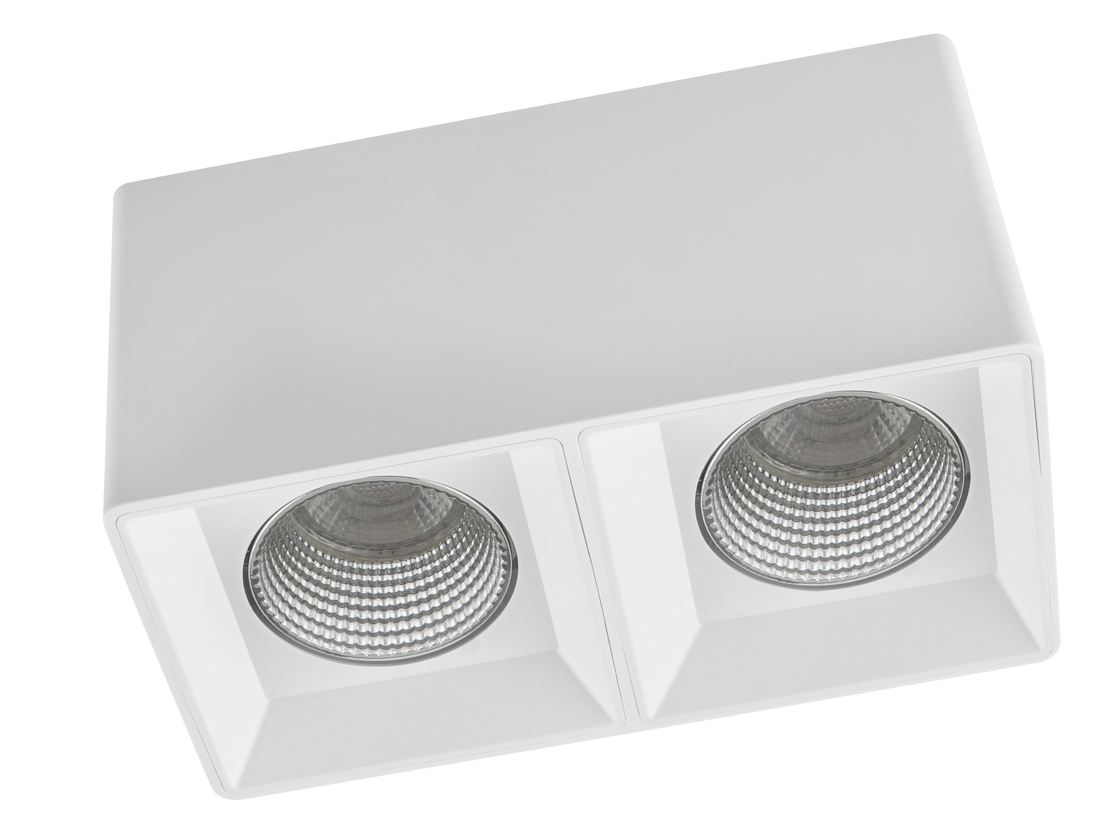 Накладной светильник Denkirs DK3030 DK3085-WH+CH