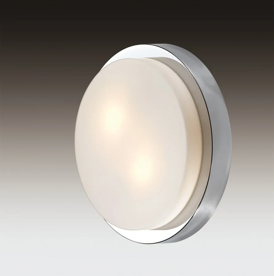 Настенно потолочный светильник Odeon Light Holger 2746/2C