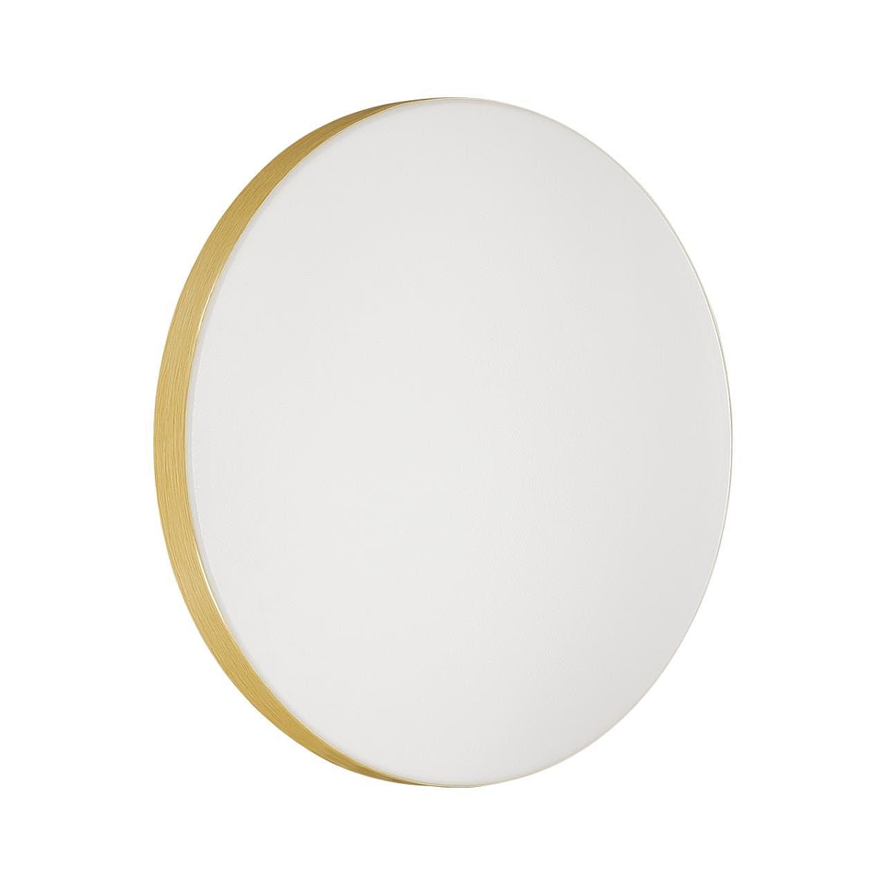 Настенно потолочный светильник Sonex Smalli 3066/AL