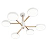 Потолочная люстра Escada Astrid 10236/6LED