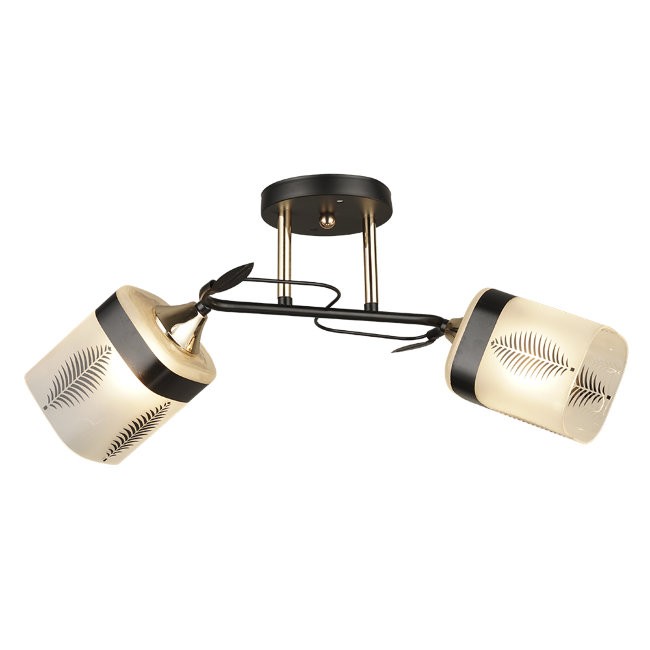 Потолочная люстра Wedo Light Amisa 66733.01.69.02