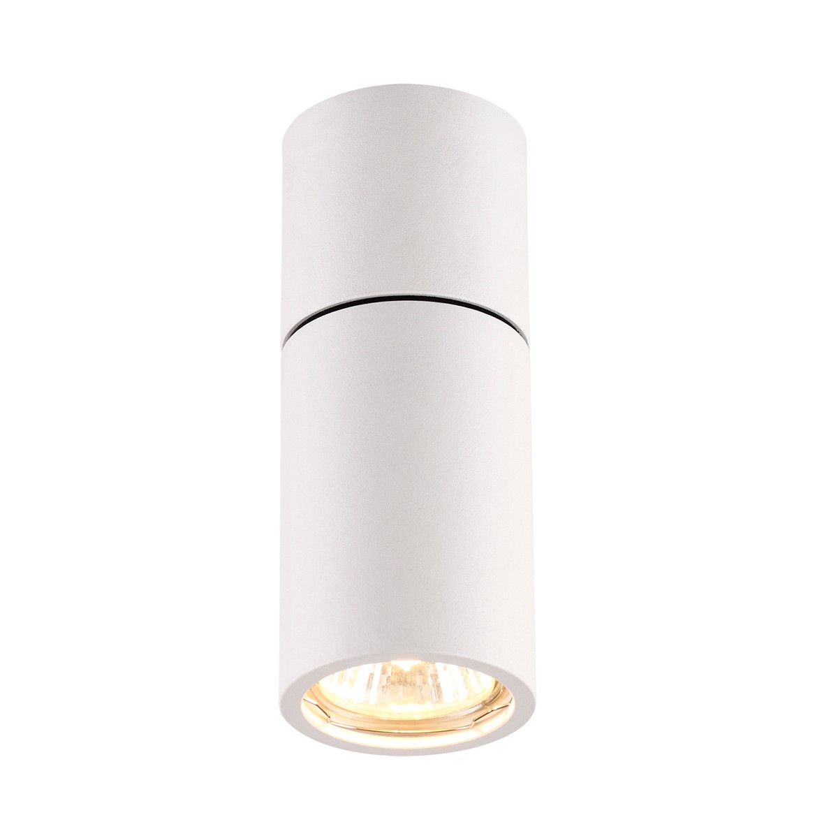 Накладной светильник Odeon Light Duetta 3582/1C