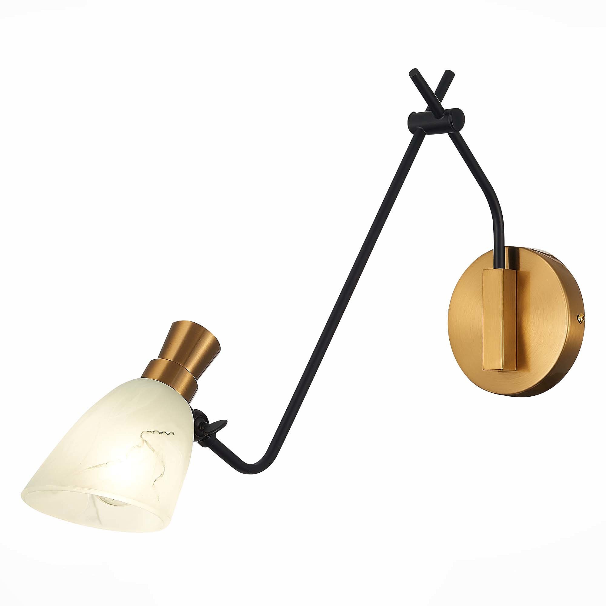 Настенный светильник Evoluce Lita SLE205401-01