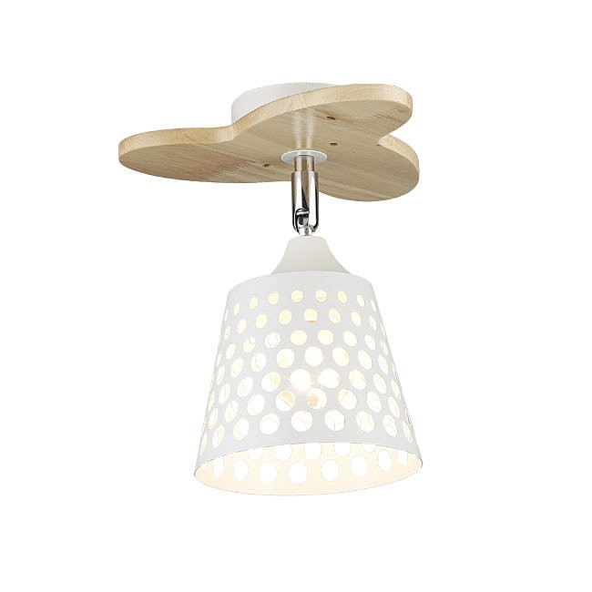 Светильник потолочный Wedo Light Veyla 66771.01.64.01