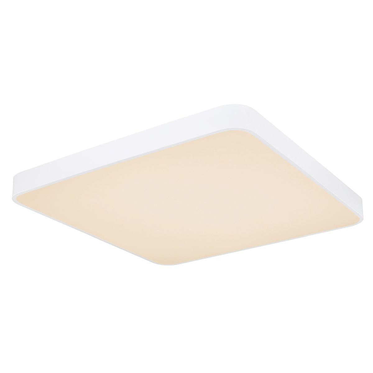 Светильник потолочный Globo Leanara 41755-48W