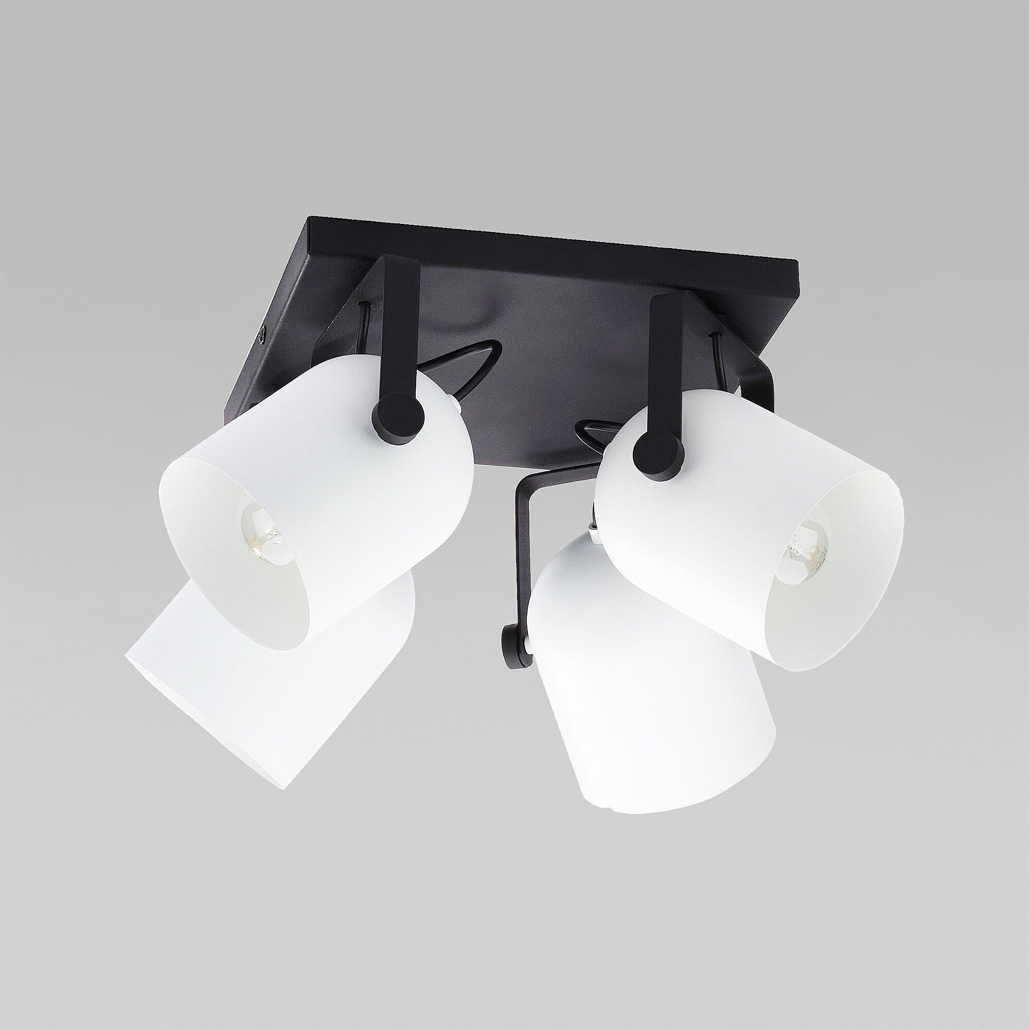 Светильник спот TK Lighting Spectra 3493 Spectra Black White