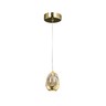 Светильник подвесной Delight Collection Terrene MD13003023-1A gold