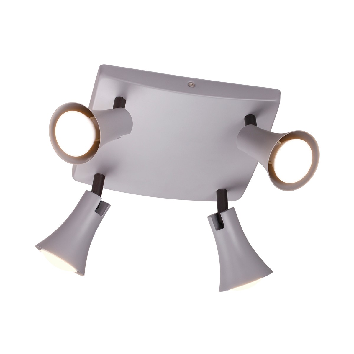 Светильник спот Odeon Light Reanna 3825/4C