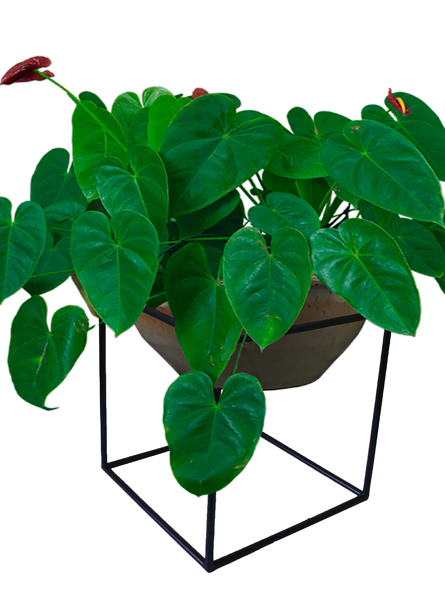 ArtCore Подставка под цветы YS010