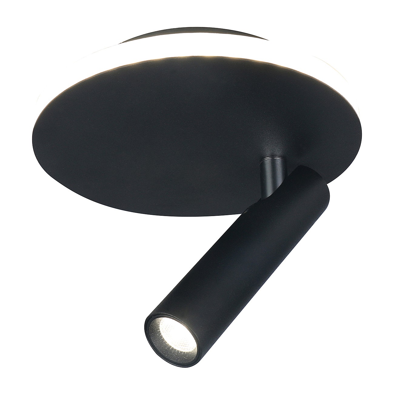 Светильник спот Escada 20019 20019SMA/01LED SBK