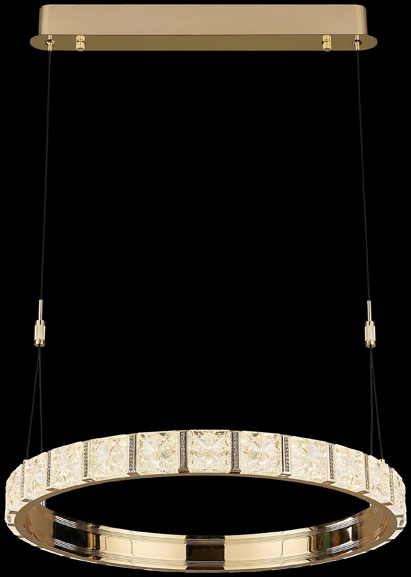 Подвесная люстра Wertmark Vera WE458.01.323