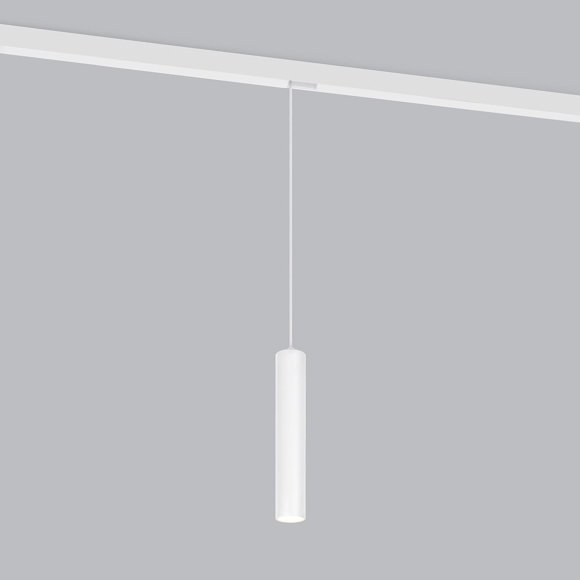 Трековый светильник Elektrostandard Slim Magnetic Slim Magnetic P01 Трековый светильник 6W 4200K (белый) 85014/01