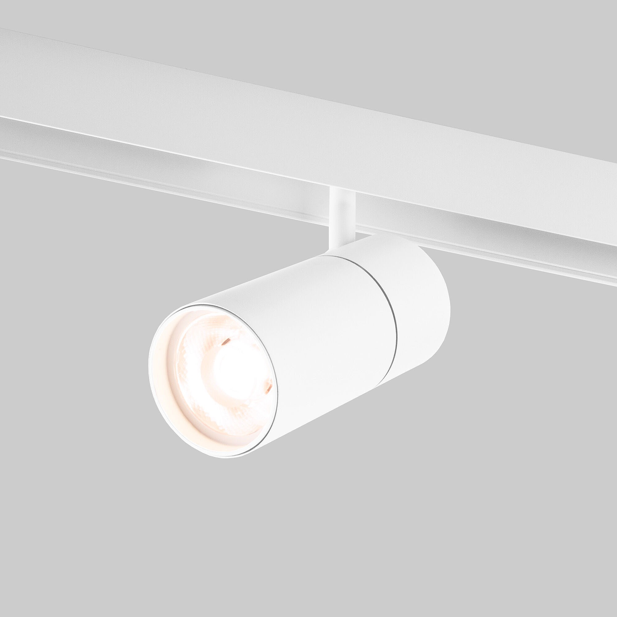 Трековый светильник Elektrostandard Slim Magnetic Slim Magnetic R03 Трековый светильник 20W 4200K (белый) 85013/01