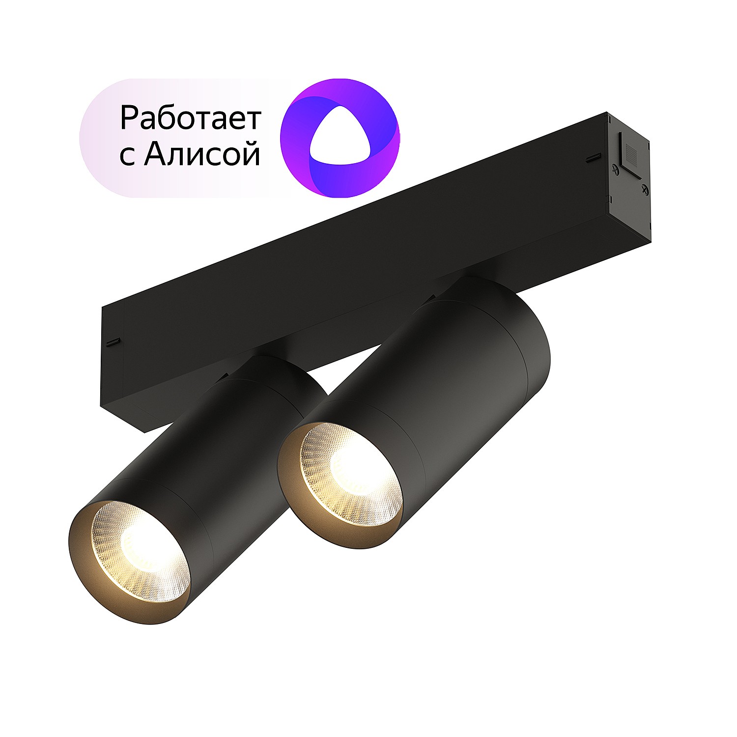 Трековый светильник Denkirs DK8012-BK