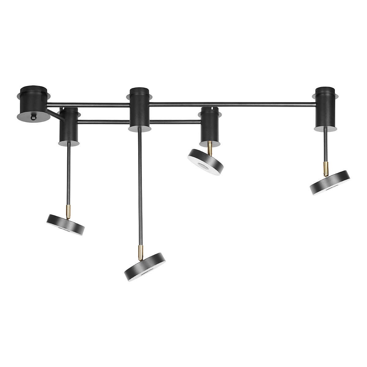 Светильник потолочный Loft It Flock 10189/1000