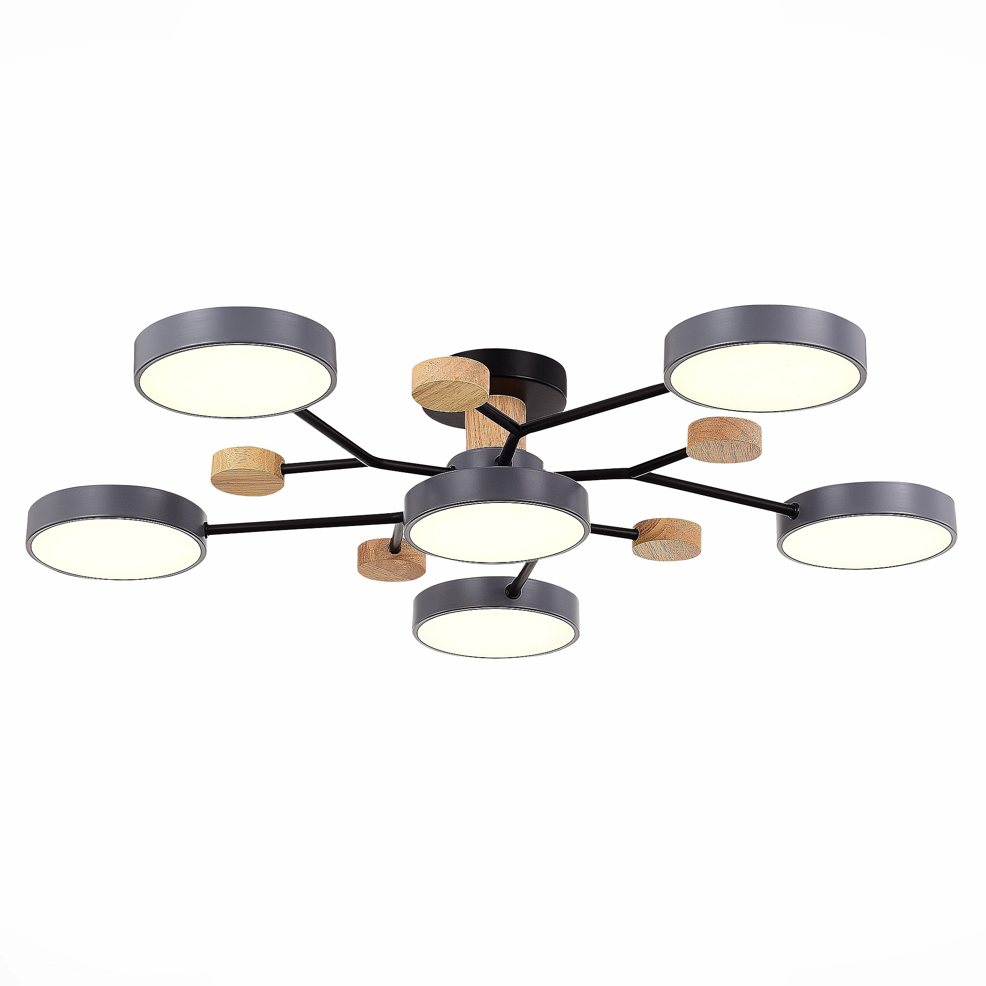 Потолочная люстра Evoluce Faema SLE6006-702-06