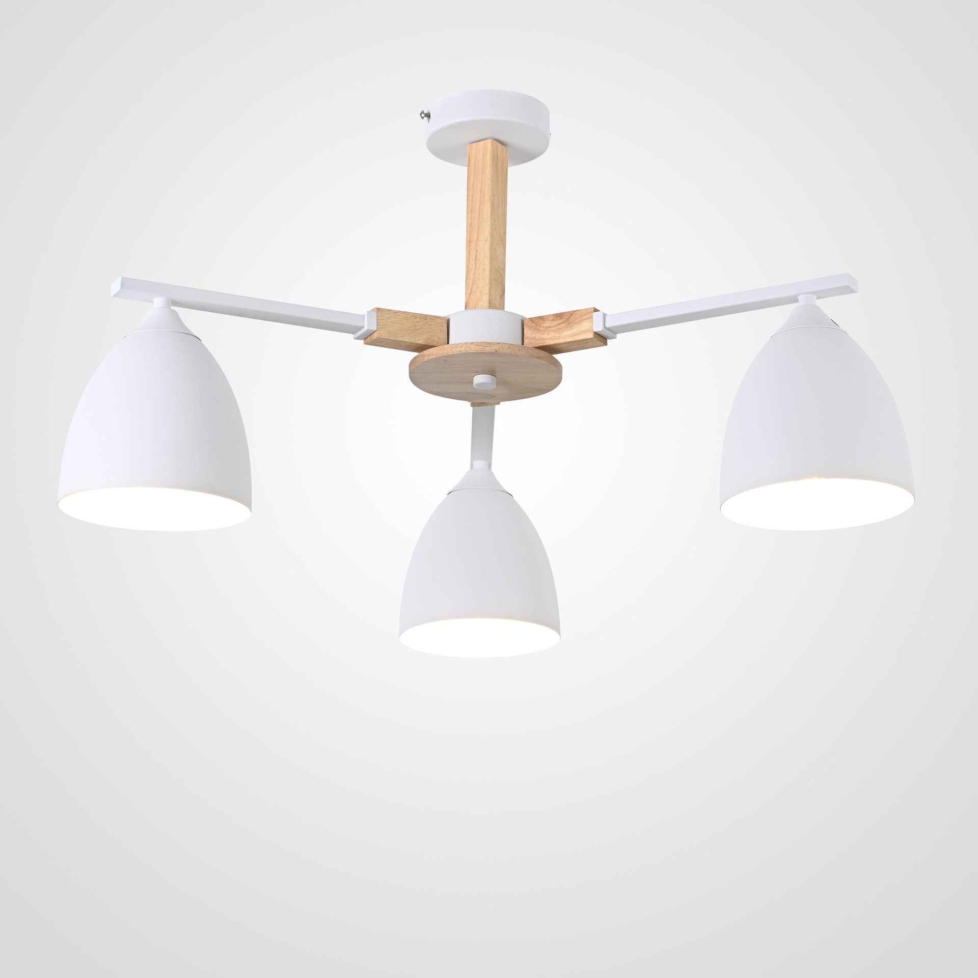 Потолочная люстра ImperiumLoft Noa01 183465-26