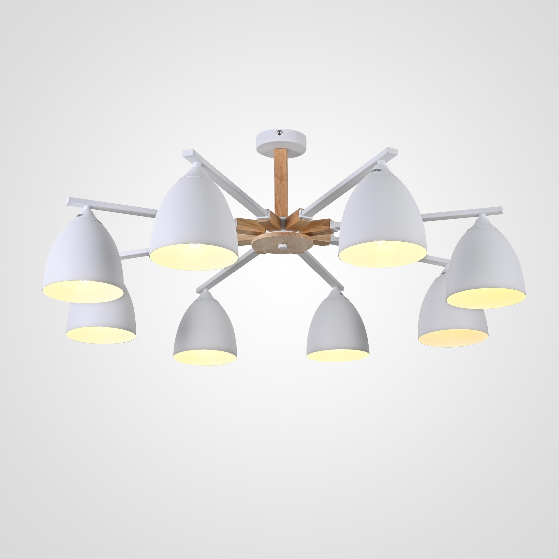 Потолочная люстра ImperiumLoft Noa01 183470-26