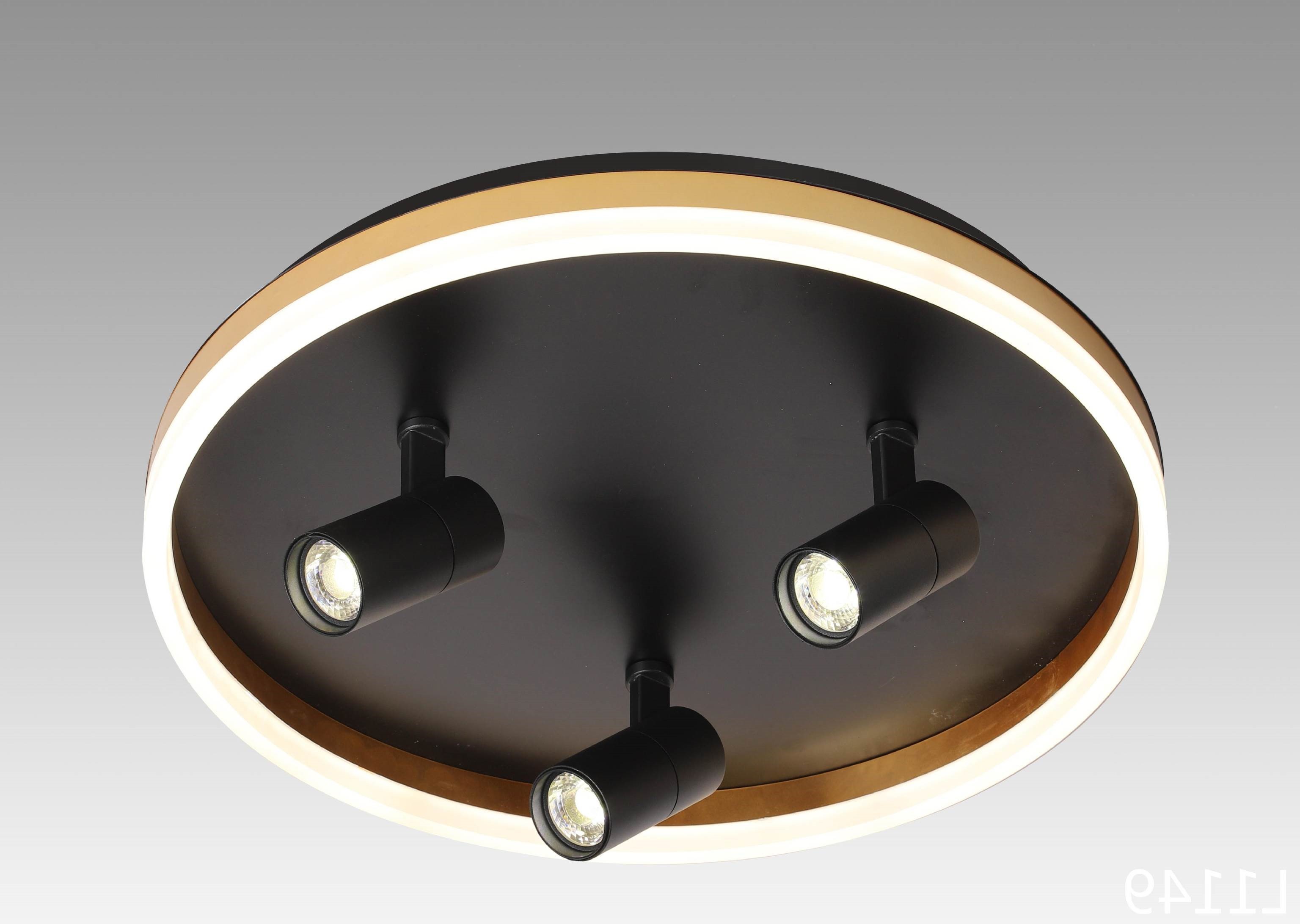 Потолочная люстра Мелодия Света 000031054