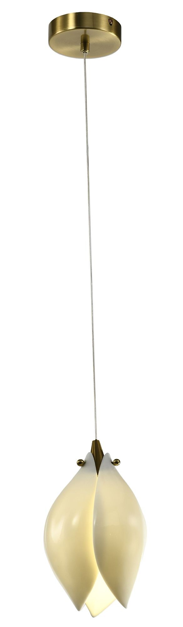 Светильник подвесной Zortes Dalin ZRS.90609.01