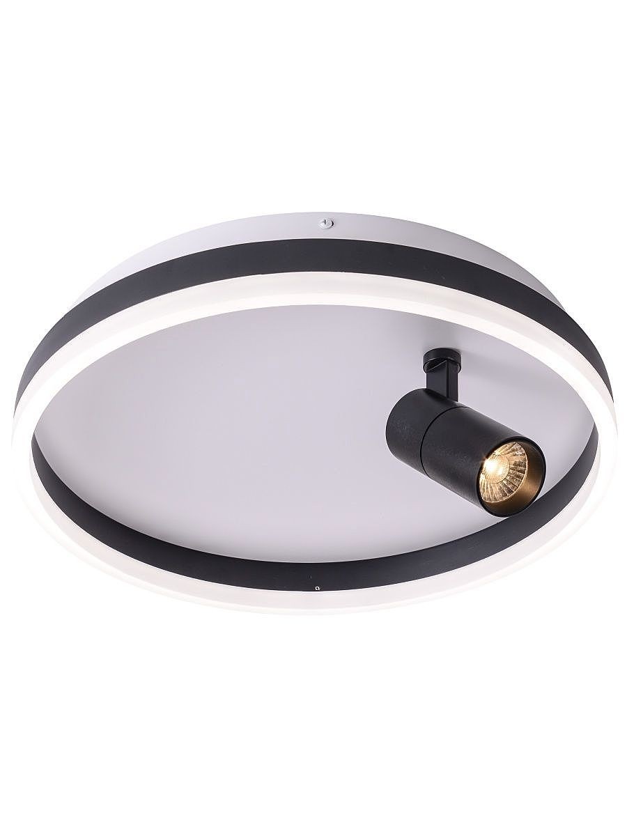 Светильник потолочный Zortes Raizy ZRS.1888.03