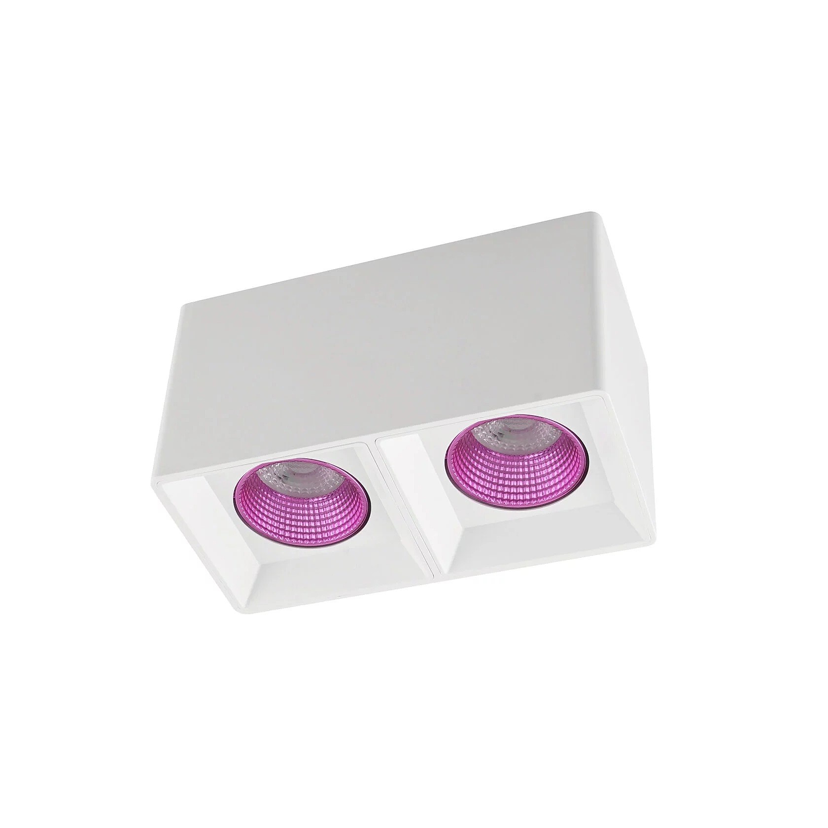 Накладной светильник Denkirs DK3085 DK3085-WH+PI