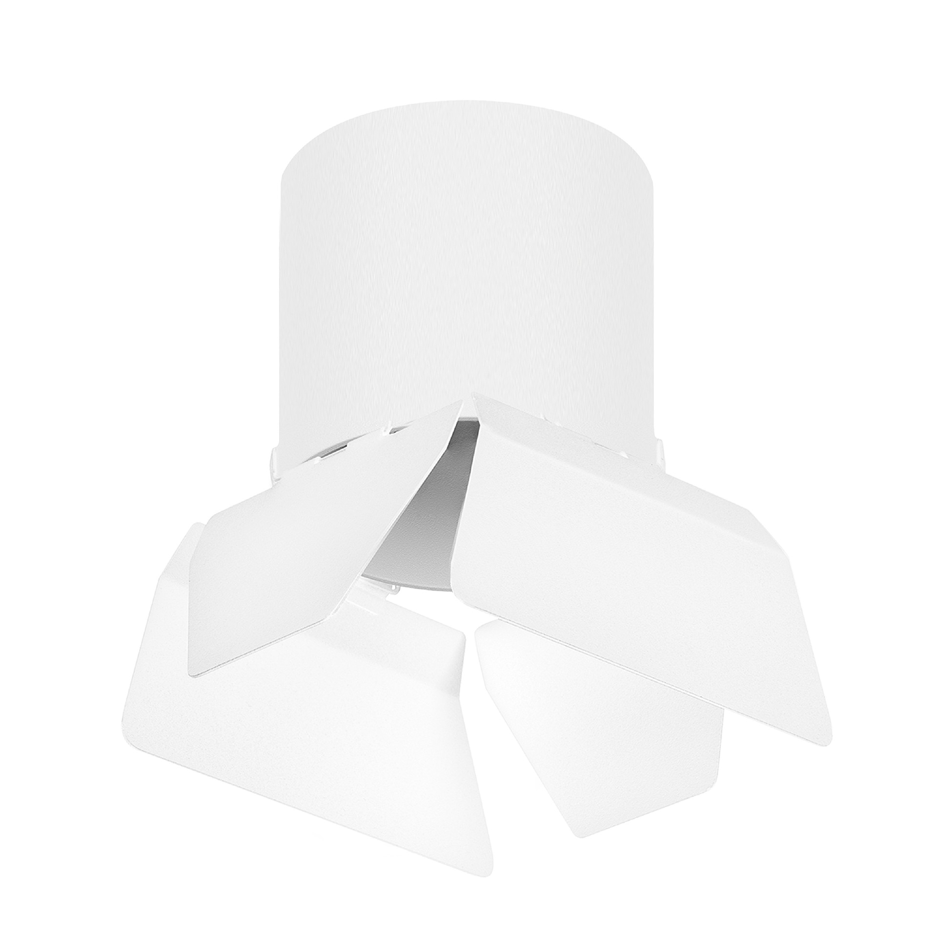 Накладной светильник Lightstar Rullo R3486486