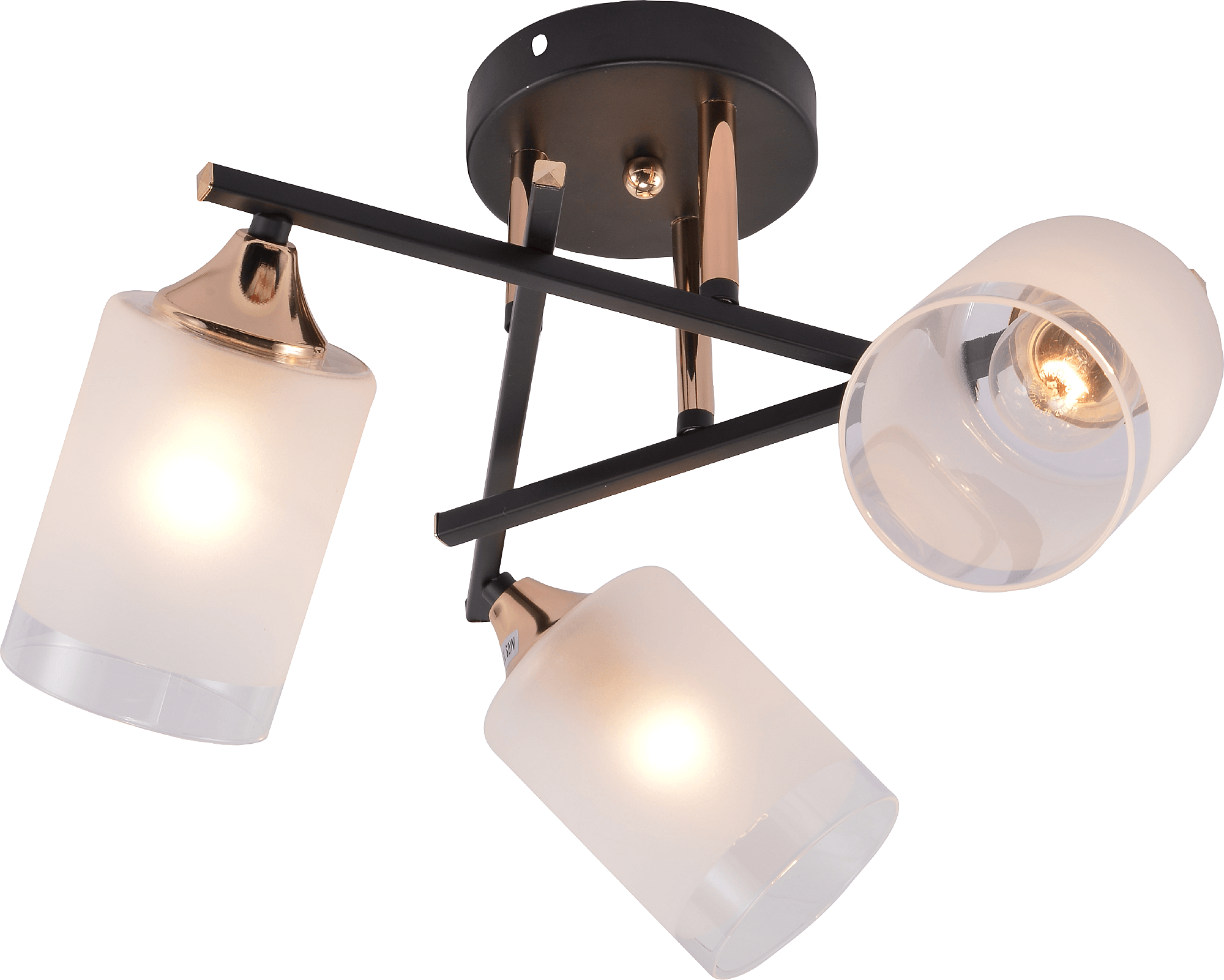 Потолочная люстра Rivoli Fiona 3163-303