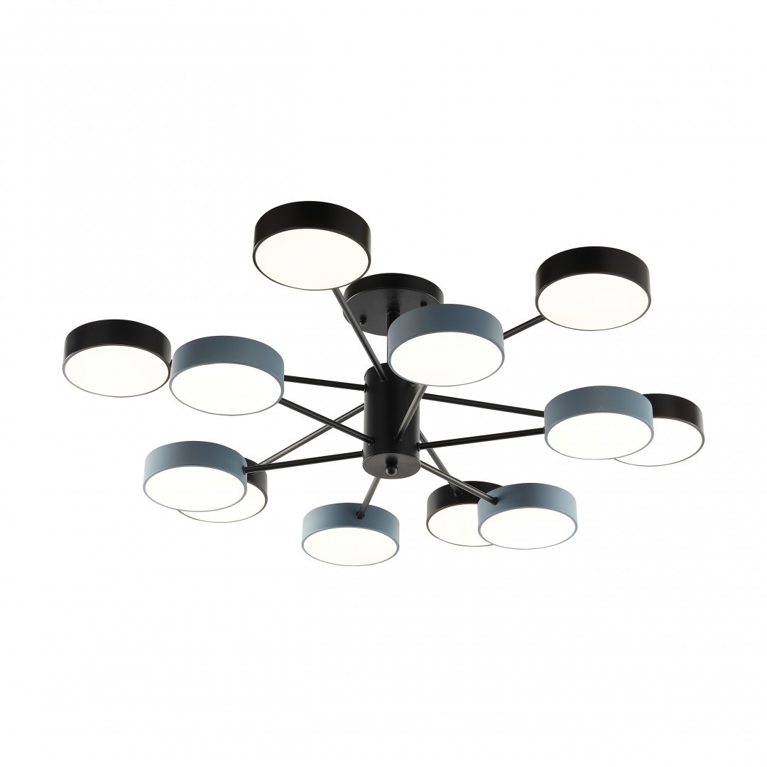 Потолочная люстра Arte Milano Ferrara 250906/12B Bk/Gr