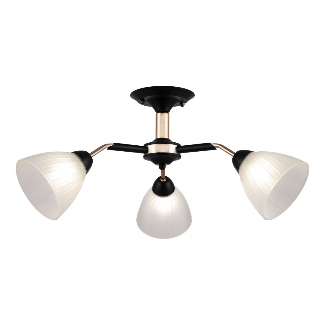 Потолочная люстра Arte Milano Napoli 324108/3 BK+FG