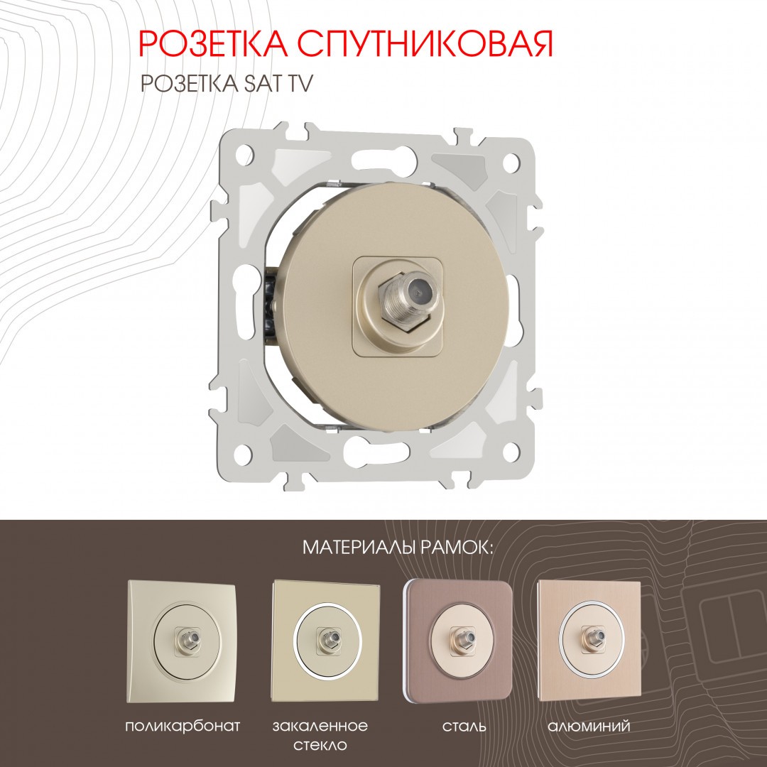 Розетка Arte Milano Am-202 202.42-1.shampan