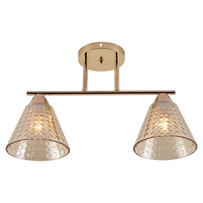 Потолочная люстра Seven Fires Fabius SF3391/2C-FGD-CL