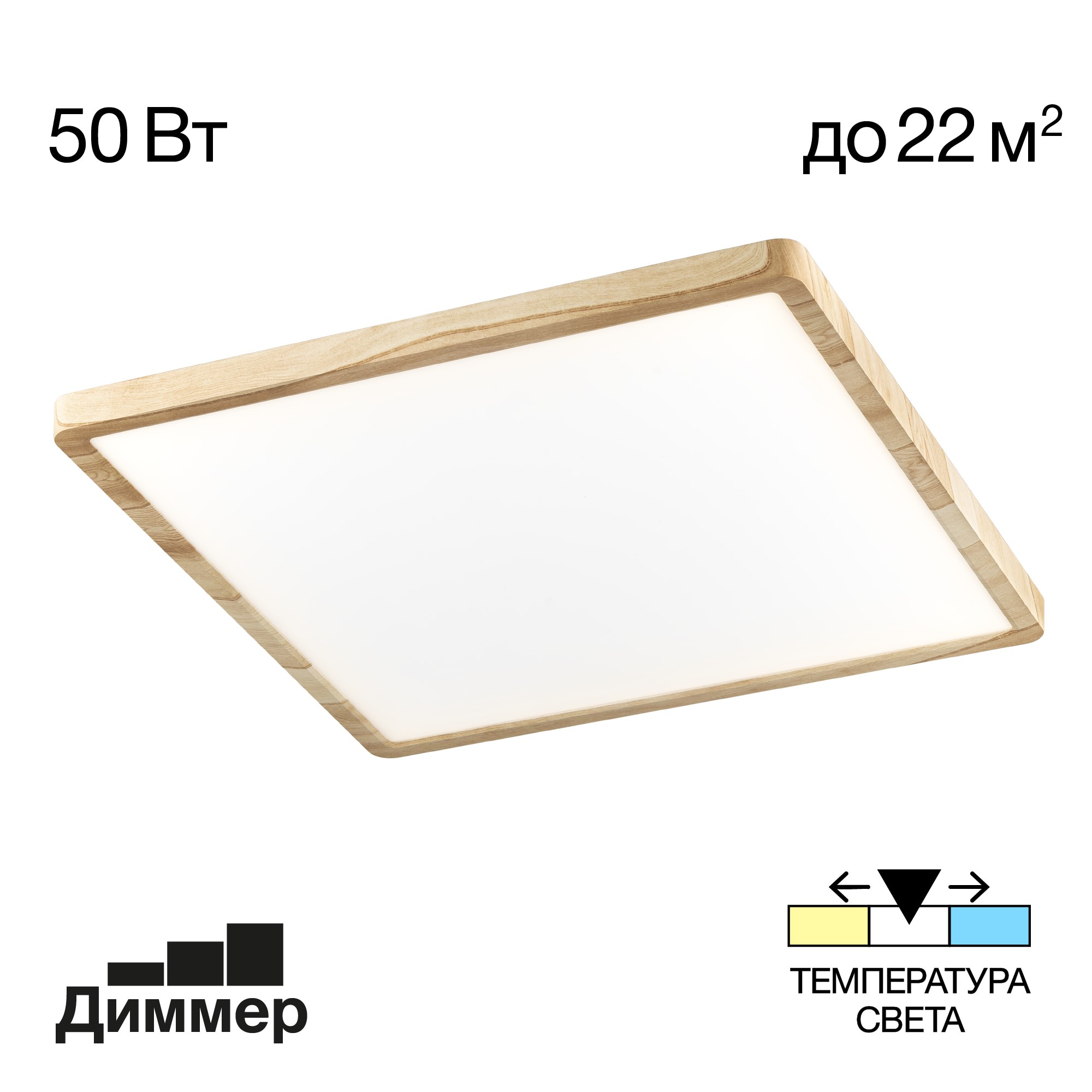 Светильник потолочный Citilux Бейсик CL738K502V