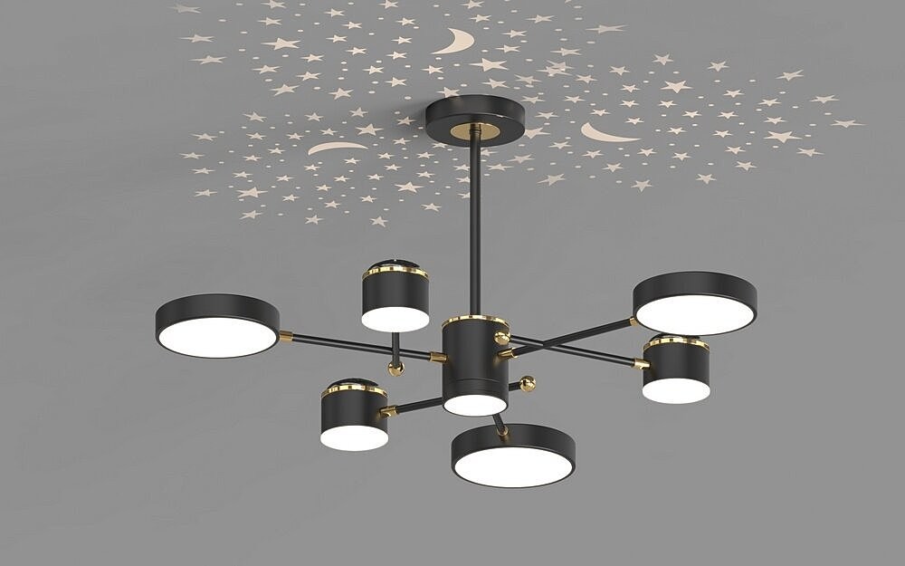Потолочная люстра Seven Fires Elsi SF5505/6C-BK-GD