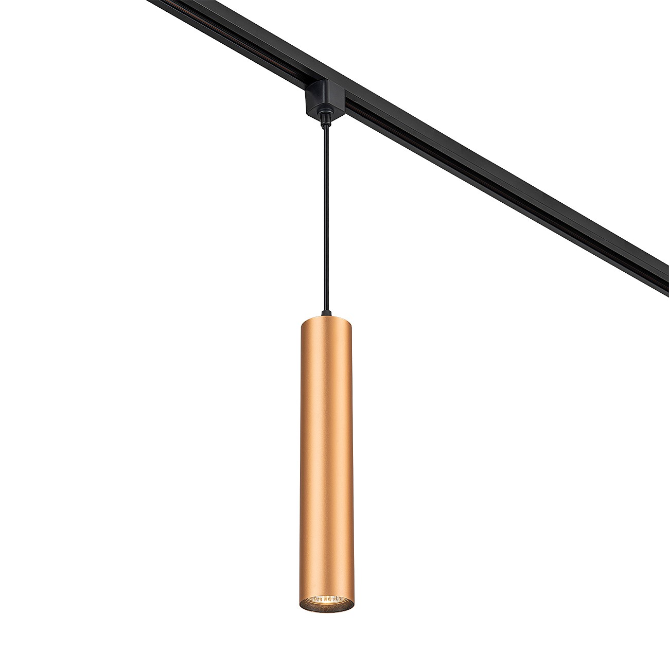 Трековый светильник Escada 20001 20001TRP/01 BR