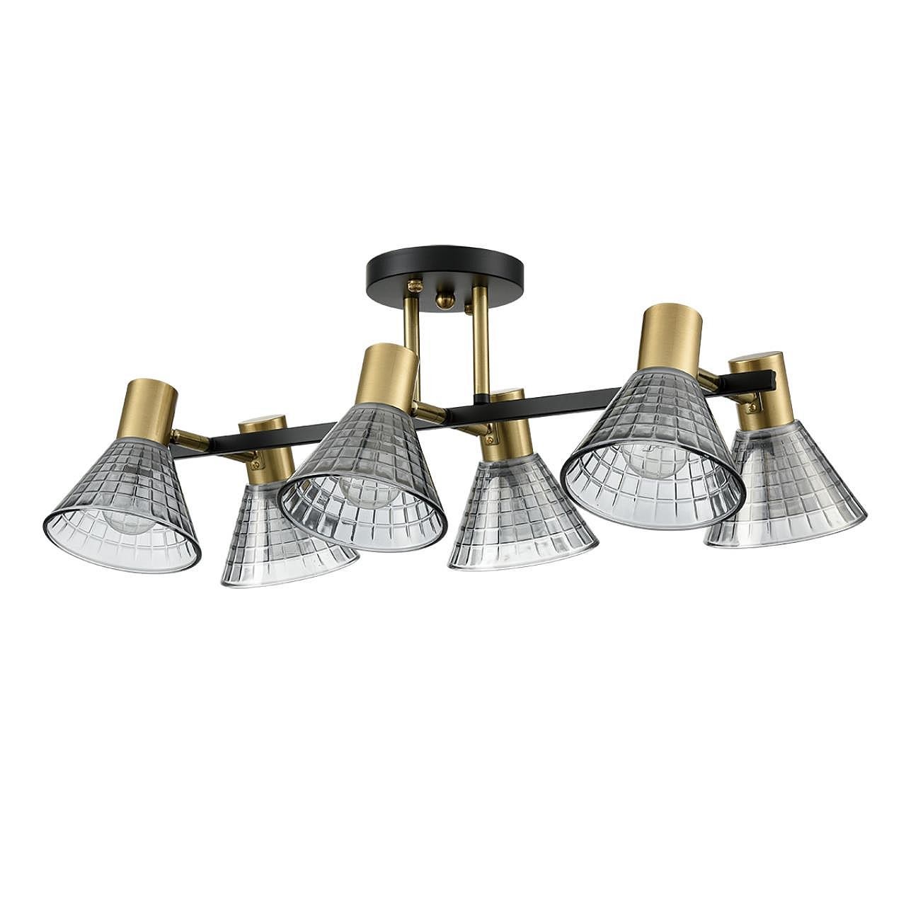 Потолочная люстра Lumion Anriya 8044/6C