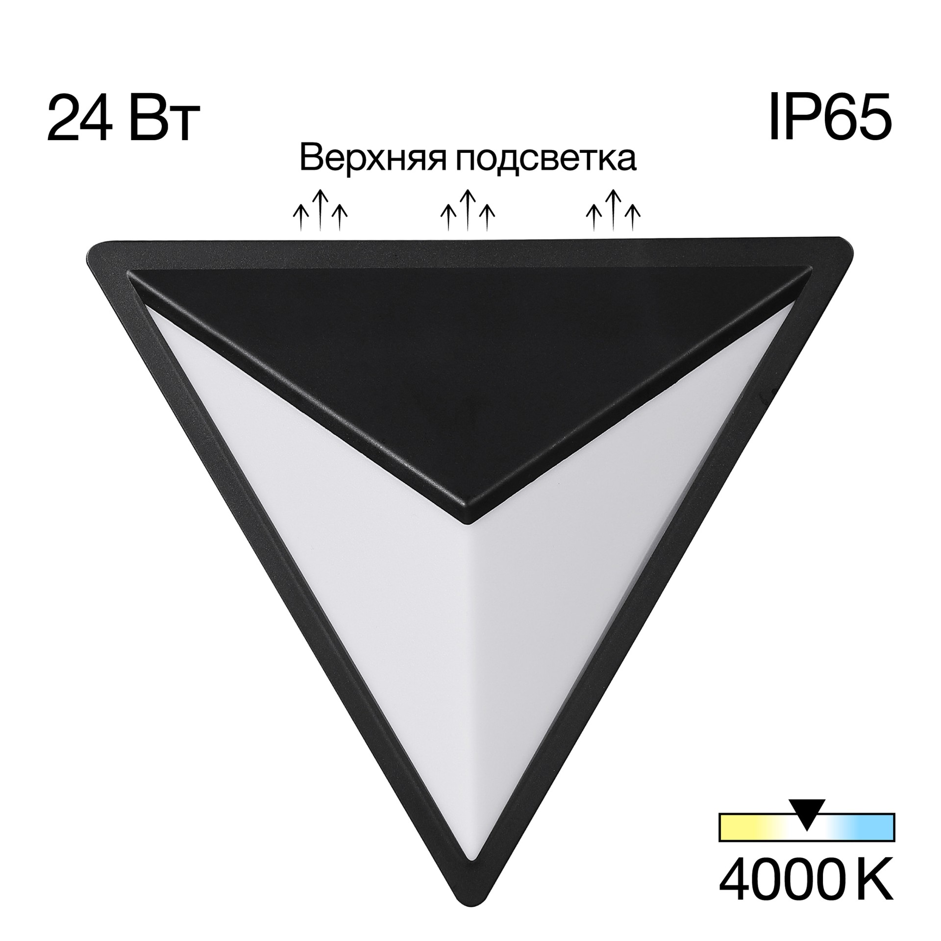 Уличный настенный светильник Citilux Domus CLU0804BK