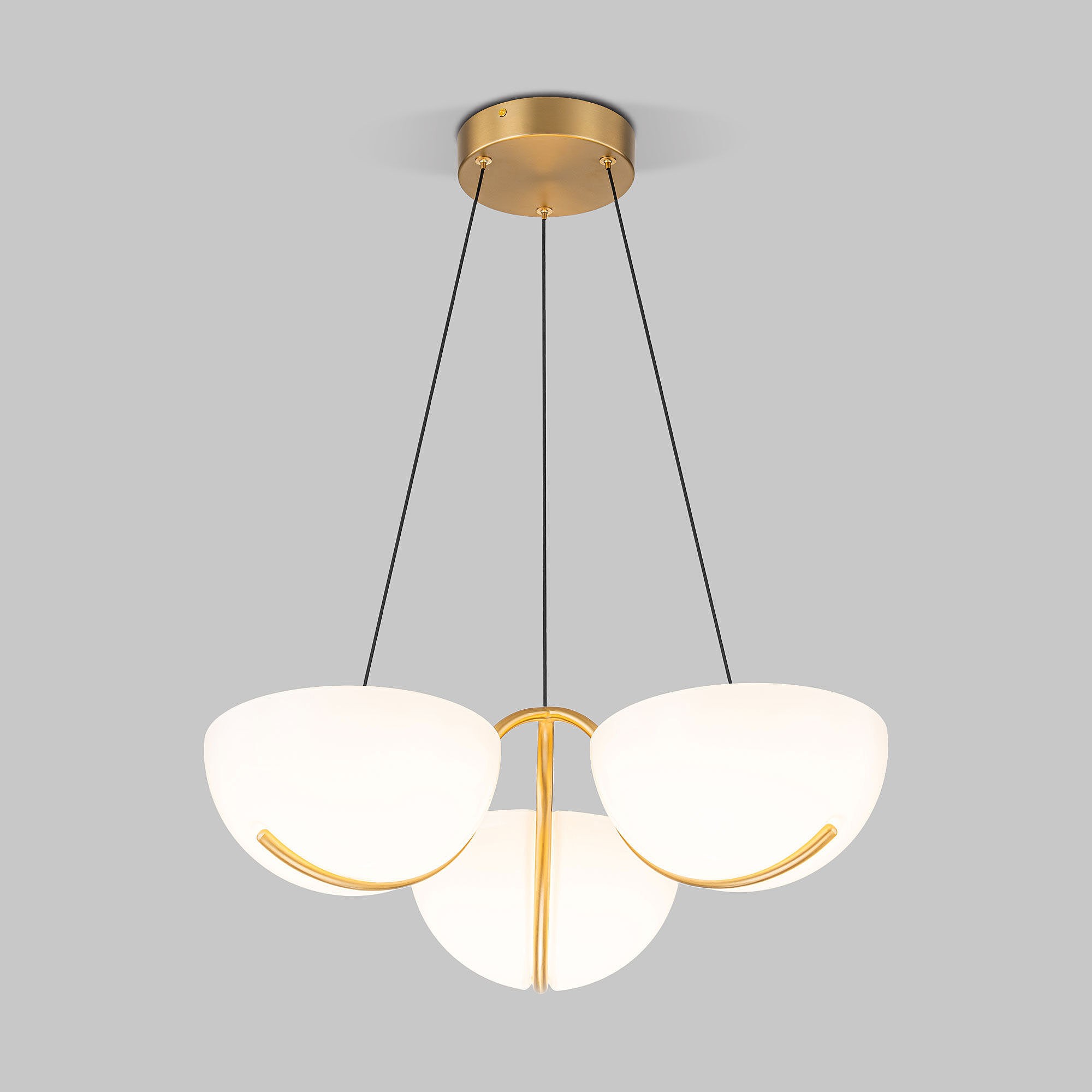 Подвесная люстра Eurosvet Emisfero 50083/3 LED золото