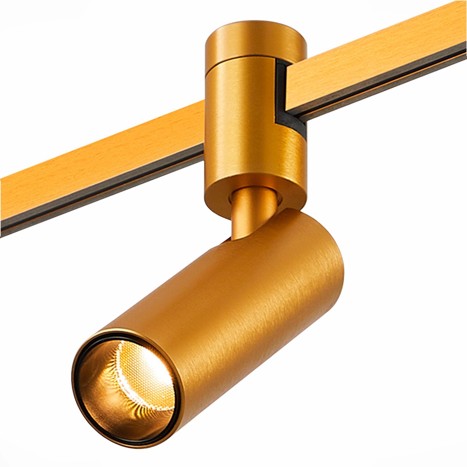 Трековый светильник ST Luce Farm ST811.246.05