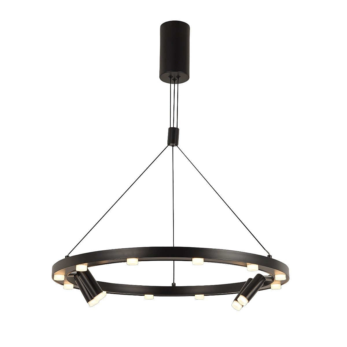 Подвесная люстра Gerhort G52134 G52134/16P BK BK