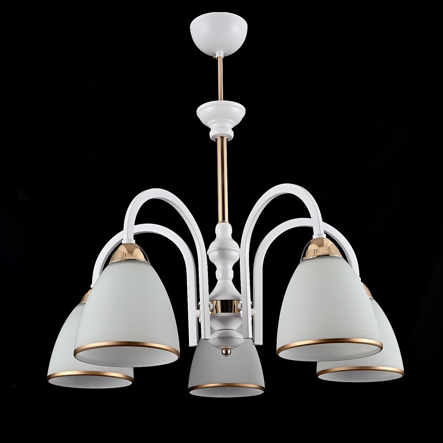 Потолочная люстра ЭкономСвет 10171 10171/5WT+FGD WT+GD