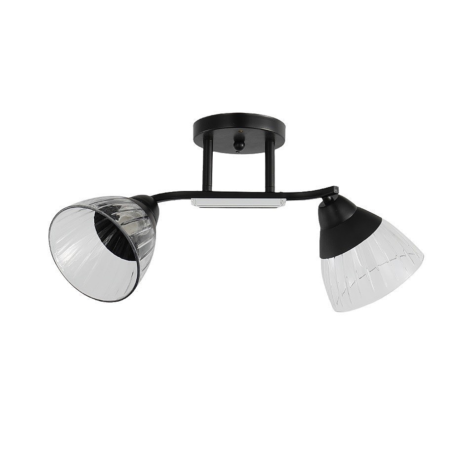 Потолочная люстра ЭкономСвет 12205 12205/2BK CL+BK