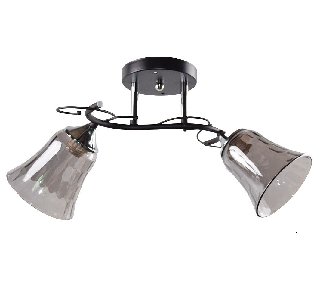 Потолочная люстра ЭкономСвет 12237 12237/2CR+BK GR