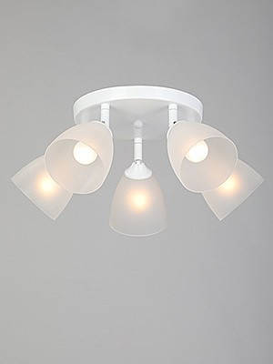 Потолочная люстра Vitaluce V4355-0/5PL