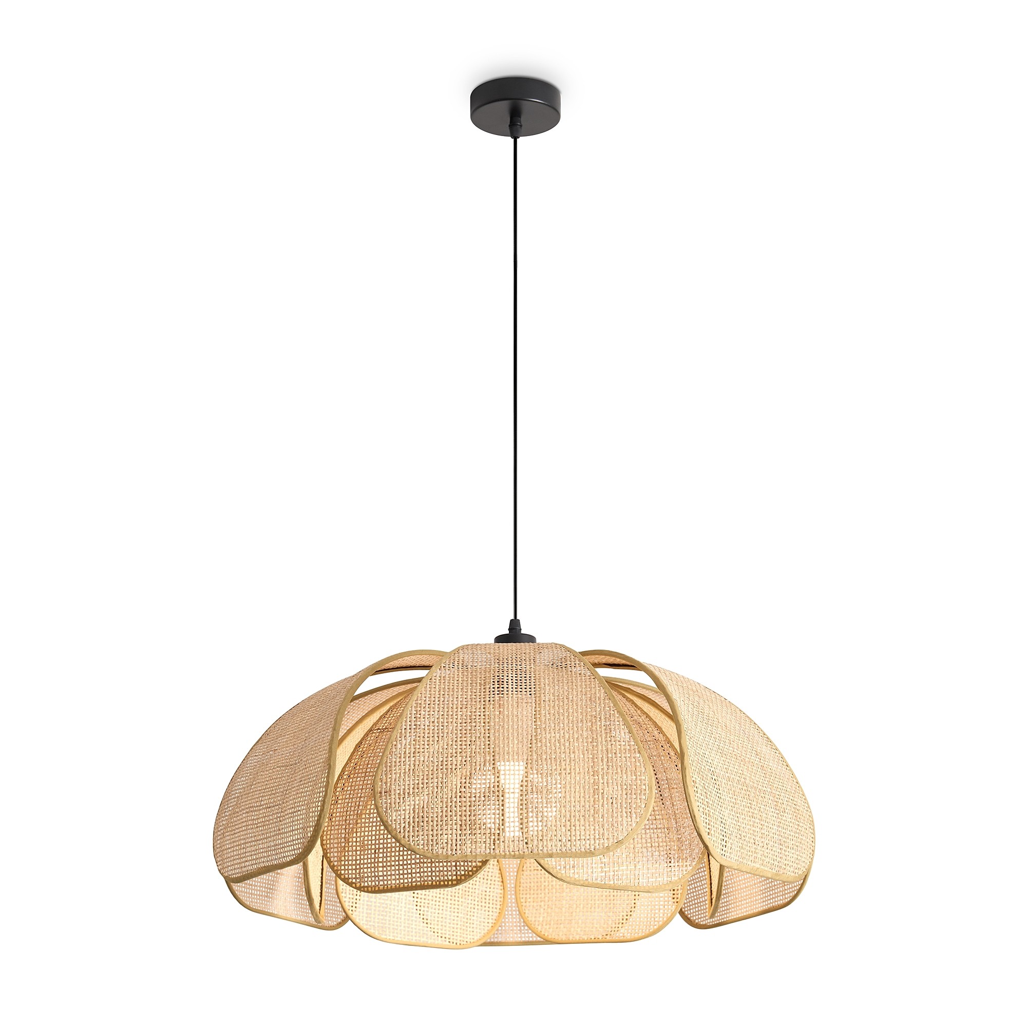 Светильник подвесной Freya Cocoon FR5529PL-01B