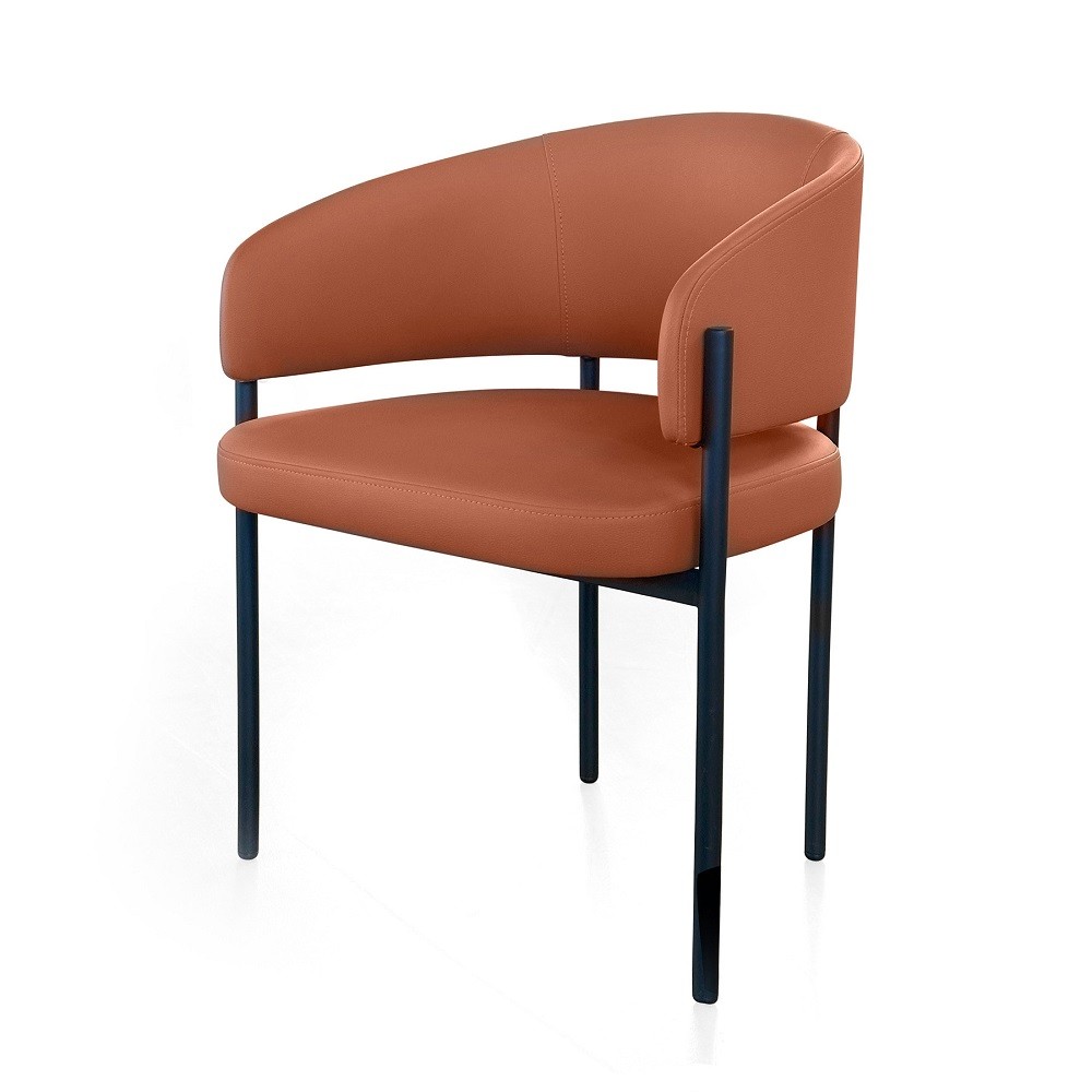 Обеденный стул Delight Collection Hola Hola Chair