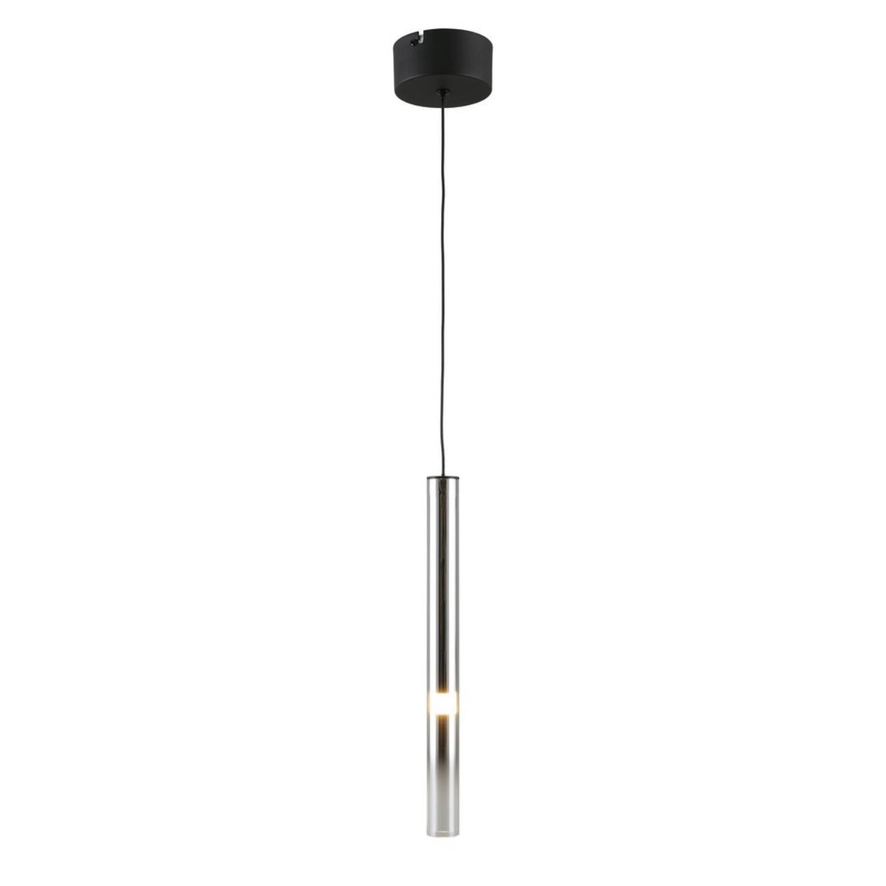 Светильник подвесной Aployt Silveyn APL.059.16.04